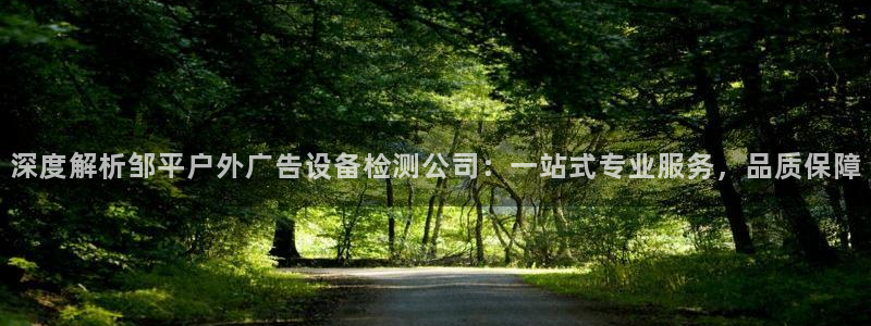 杏宇平台招商：深度解析邹平户外广告设备检测公司：一站式专业服务，品质保障