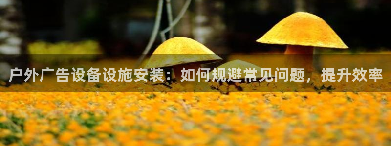 杏宇平台总代理：户外广告设备设施安装：如何规避常见问题，提升效率