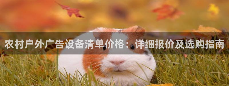 杏宇平台招商电话号码：农村户外广告设备清单价格：详细报价及选购指南