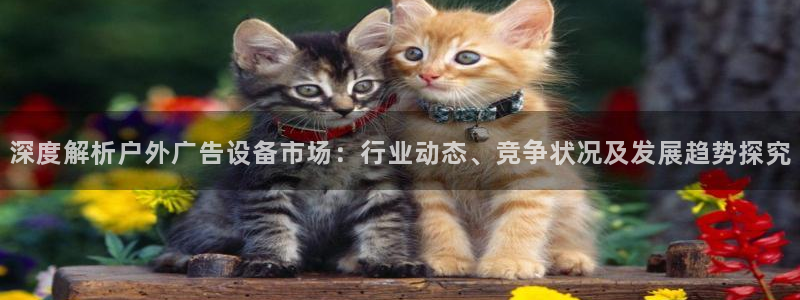 杏宇平台代理多少钱一个月：深度解析户外广告设备市场：行业动态、竞争状况及发展趋势探究