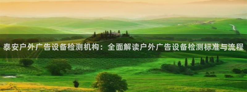 杏宇平台主管：泰安户外广告设备检测机构：全面解读户外广告设备检测标准与流程