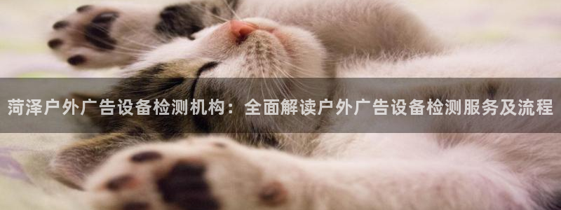 杏宇平台代理怎么赚钱：菏泽户外广告设备检测机构：全面解读户外广告设备检测服务及流程