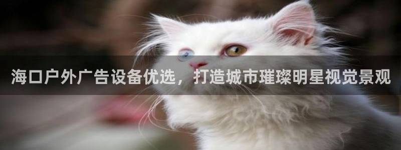杏宇平台官网注册：海口户外广告设备优选，打造城市璀璨明星视觉景观