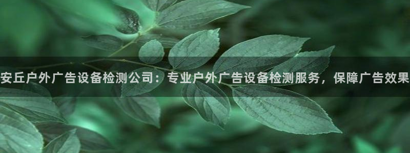 杏宇平台好吗：安丘户外广告设备检测公司：专业户外广告设备检测服务，保障广告效果