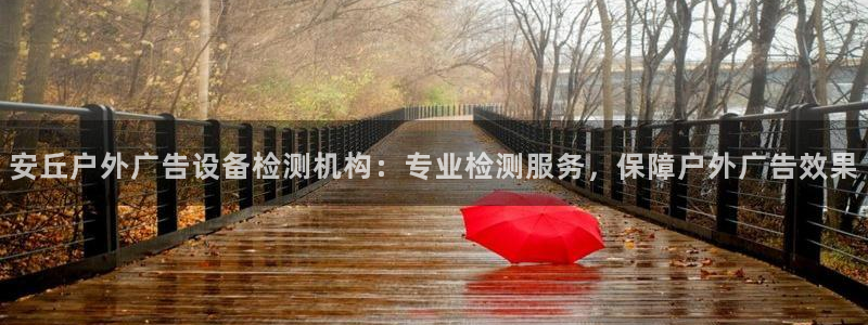 杏宇平台代理怎么样：安丘户外广告设备检测机构：专业检测服务，保障户外广告效果