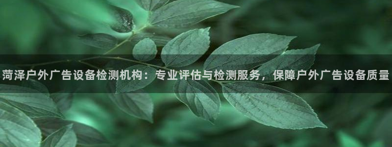 杏宇平台注册地址在哪里：菏泽户外广告设备检测机构：专业评估与检测服务，保障户外广告设备质量