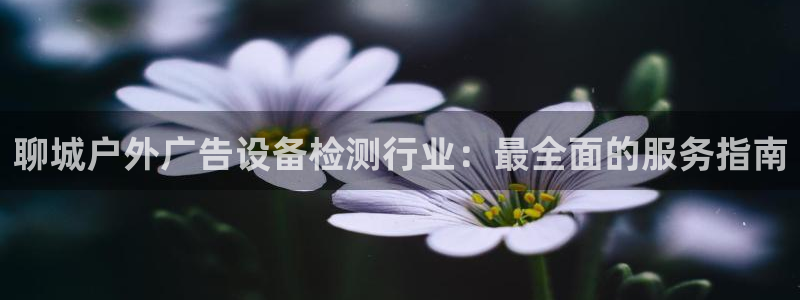 杏宇平台代理怎么赚钱的：聊城户外广告设备检测行业：最全面的服务指南