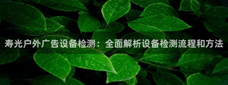 杏宇平台代理多少钱一次：寿光户外广告设备检测：全面解析设备检测流程和方法