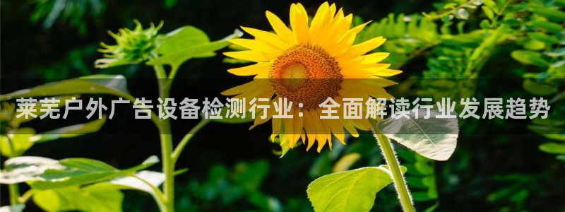 杏宇平台登录步骤是什么：莱芜户外广告设备检测行业：全面解读行业发展趋势