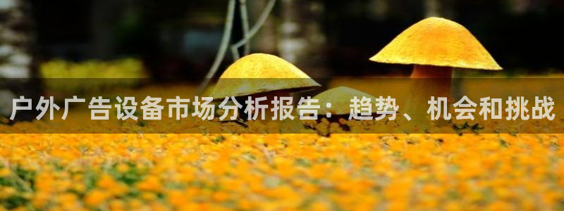 杏宇平台代理多少钱一个月：户外广告设备市场分析报告：趋势、机会和挑战