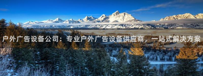 杏宇平台代理怎么样可靠吗：户外广告设备公司：专业户外广告设备供应商，一站式解决方案