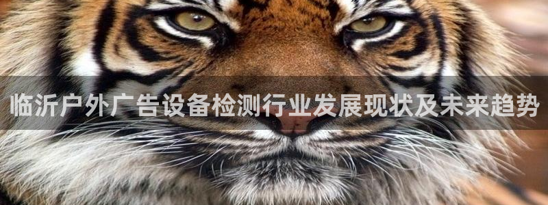杏宇平台注册地址在哪里：临沂户外广告设备检测行业发展现状及未来趋势
