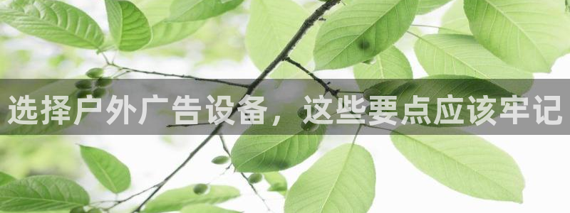 杏宇平台注册登录：选择户外广告设备，这些要点应该牢记