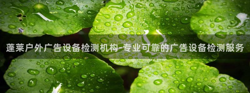 杏宇平台代理怎么赚钱：蓬莱户外广告设备检测机构-专业可靠的广告设备检测服务