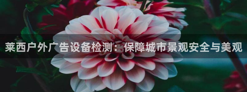 杏宇平台代理怎么样赚钱：莱西户外广告设备检测：保障城市景观安全与美观