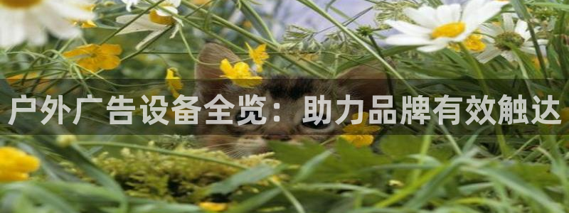 杏宇平台代理怎么赚钱快：户外广告设备全览：助力品牌有效触达