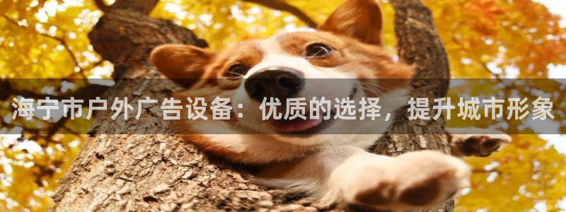 杏宇平台代理怎么赚钱：海宁市户外广告设备：优质的选择，提升城市形象
