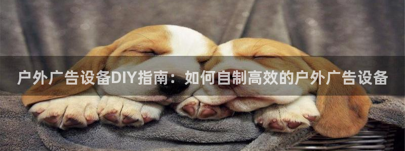 杏宇平台注册地址在哪里