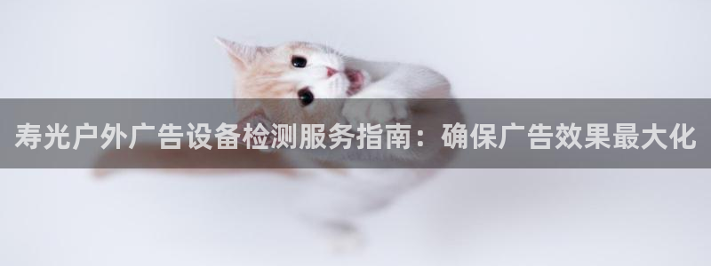 杏宇平台怎么样：寿光户外广告设备检测服务指南：确保广告效果最大化