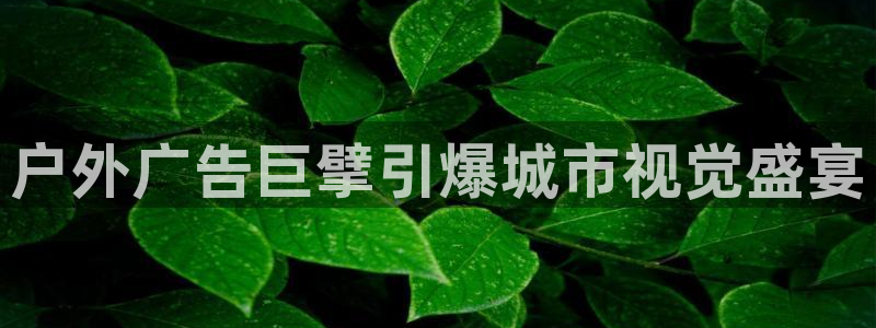 杏宇平台总代理电话