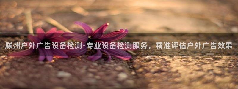 杏宇平台招商怎么样：滕州户外广告设备检测-专业设备检测服务，精准评估户外广告效果