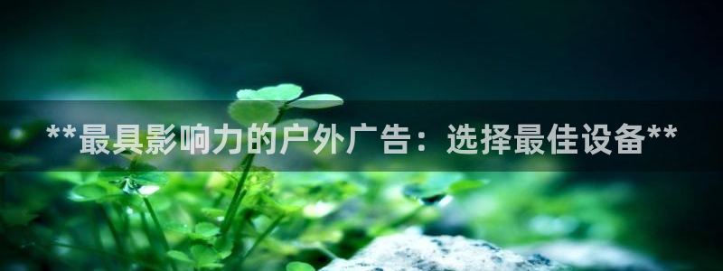 杏宇平台代理怎么样可靠吗：**最具影响力的户外广告：选择最佳设备**