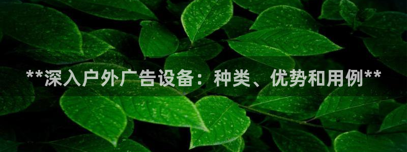 杏宇平台测速链接