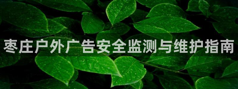 杏宇平台代理怎么赚钱的