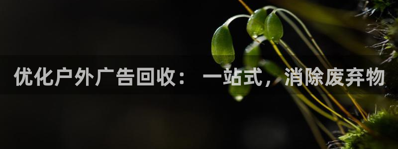 杏宇平台招商电话号码：优化户外广告回收： 一站式，消除废弃物