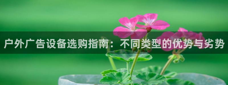 杏宇平台代理怎么样：户外广告设备选购指南：不同类型的优势与劣势