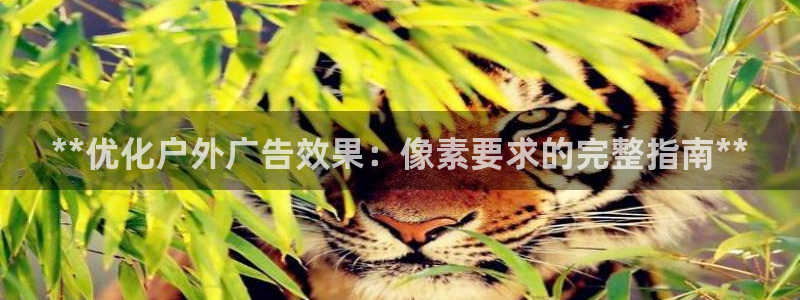 杏宇平台登陆：**优化户外广告效果：像素要求的完整指南**