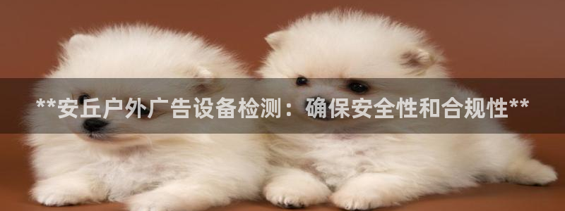 杏宇官方平台官网入口：**安丘户外广告设备检测：确保安全性和合规性**