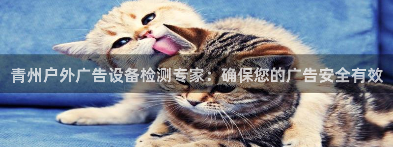 杏宇平台代理怎么赚钱：青州户外广告设备检测专家：确保您的广告安全有效