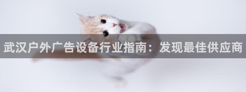 杏宇平台客服：武汉户外广告设备行业指南：发现最佳供应商