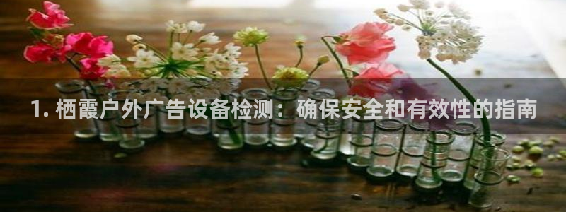 杏宇平台代理怎么赚钱的：1. 栖霞户外广告设备检测：确保安全和有效性的指南