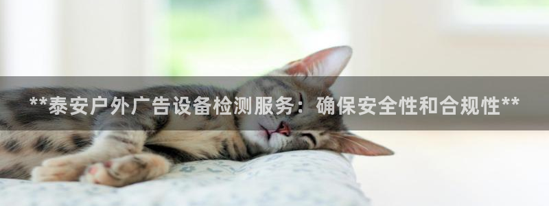 杏宇平台是什么：**泰安户外广告设备检测服务：确保安全性和合规性**
