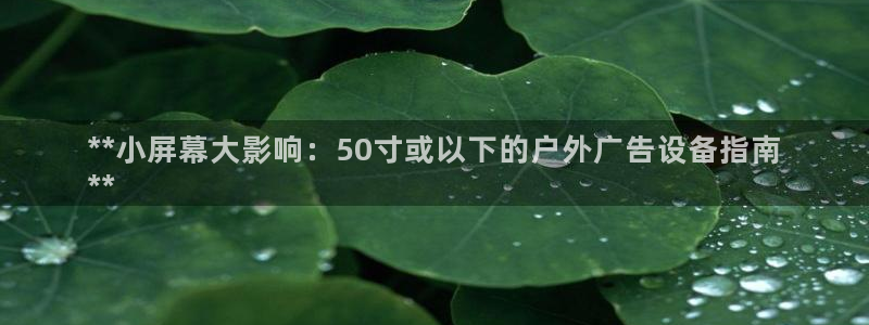 杏宇平台注册地址在哪里：**小屏幕大影响：50寸或以下的户外广告设备指南
**