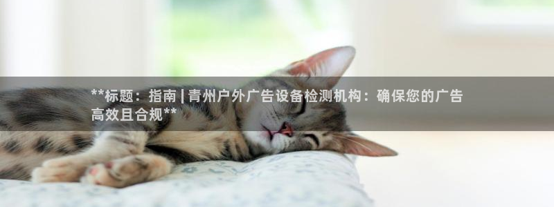 杏宇平台登录步骤图：**标题：指南 | 青州户外广告设备检测机构：确保您的广告
高效且合规**