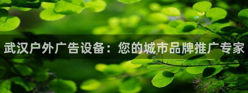 杏宇官方平台官网：武汉户外广告设备：您的城市品牌推广专家