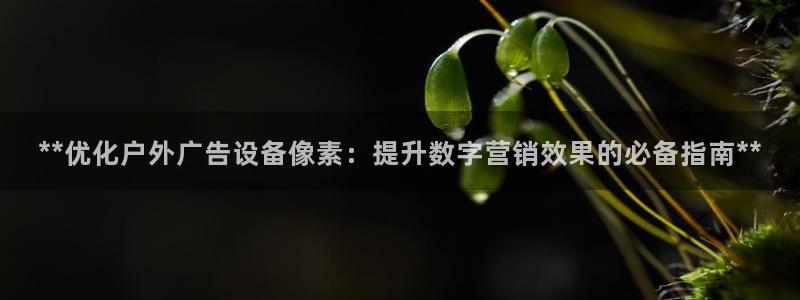 杏宇平台总代理：**优化户外广告设备像素：提升数字营销效果的必备指南**