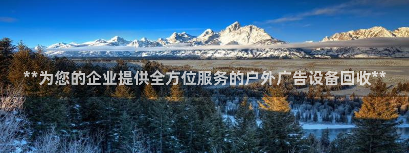 杏宇平台是什么：**为您的企业提供全方位服务的户外广告设备回收**