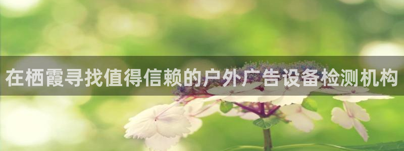 杏宇平台主管：在栖霞寻找值得信赖的户外广告设备检测机构