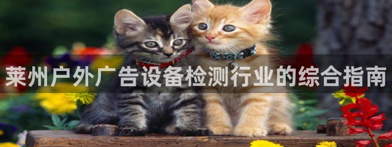 杏宇平台怎么样：莱州户外广告设备检测行业的综合指南