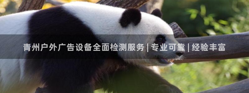 杏宇平台注册地址：青州户外广告设备全面检测服务 | 专业可靠 | 经验丰富