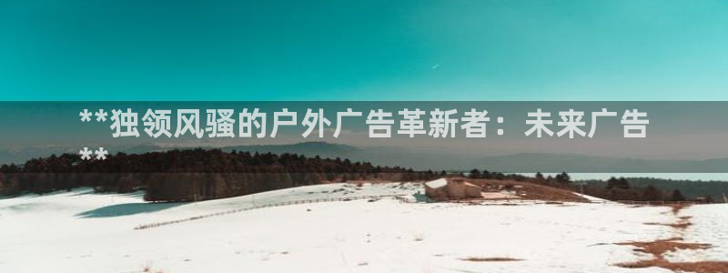 杏宇平台主管：**独领风骚的户外广告革新者：未来广告
**
