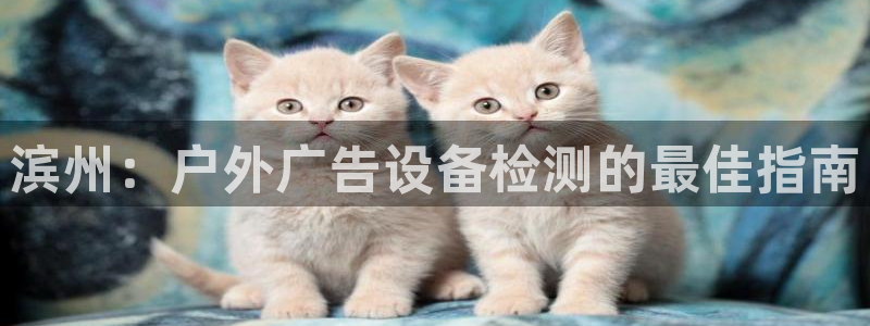 杏宇平台代理多少钱一个：滨州：户外广告设备检测的最佳指南