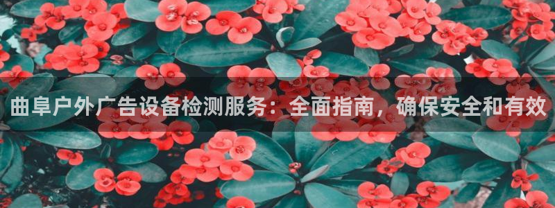 杏宇平台怎么样知乎：曲阜户外广告设备检测服务：全面指南，确保安全和有效