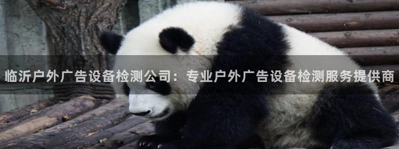 杏宇平台代理多少钱一个：临沂户外广告设备检测公司：专业户外广告设备检测服务提供商