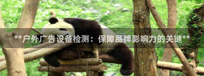 杏宇平台总代理电话：**户外广告设备检测：保障品牌影响力的关键**