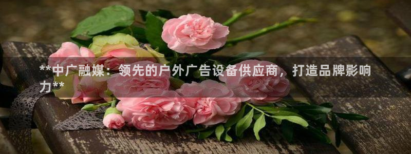 杏宇平台主管：**中广融媒：领先的户外广告设备供应商，打造品牌影响
力**